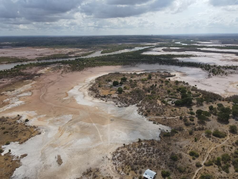 Forêt de mangrove (10 m²) - MDS – Image 3