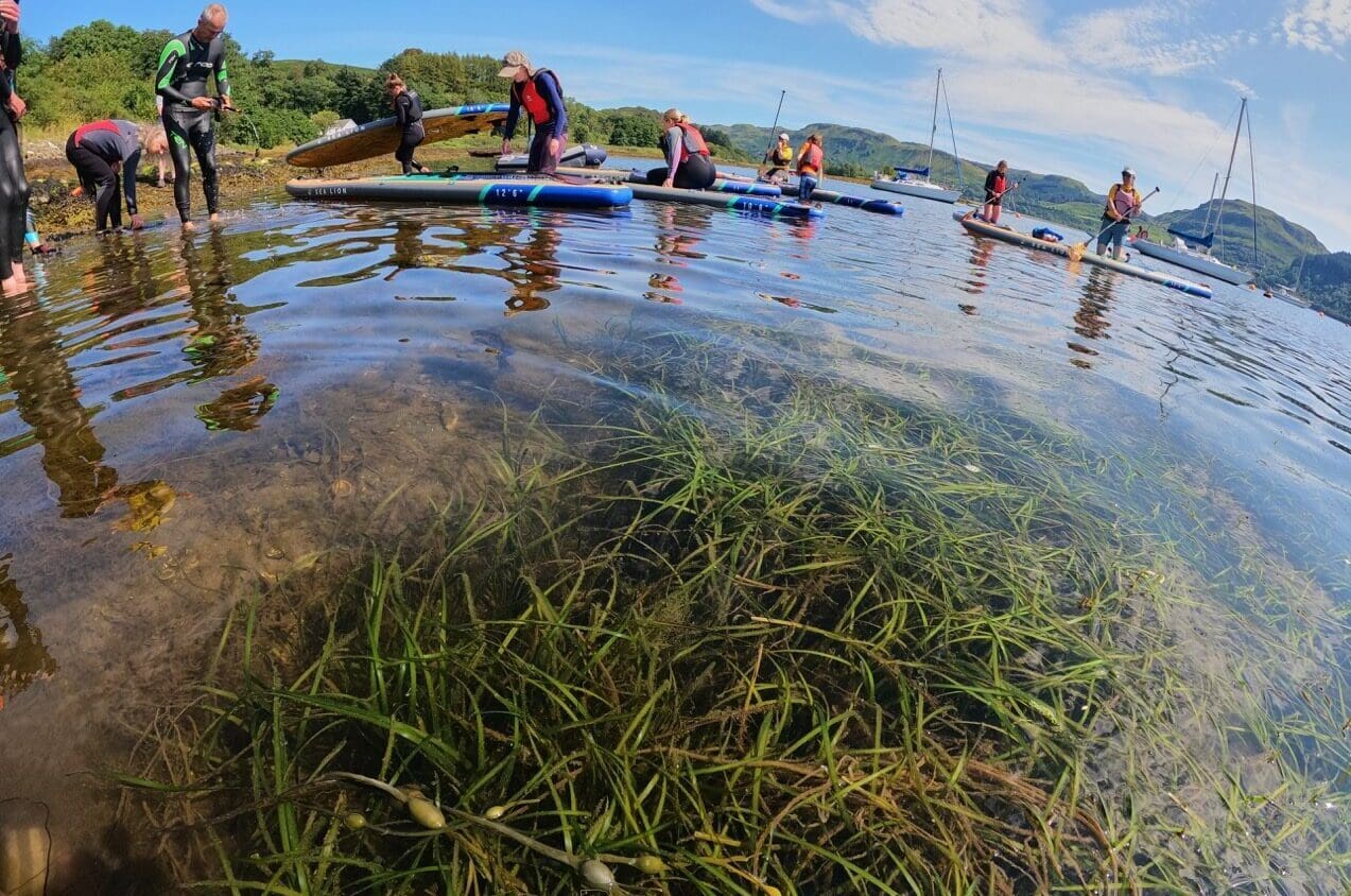 DCIM100GOPROGOPR2871.JPG