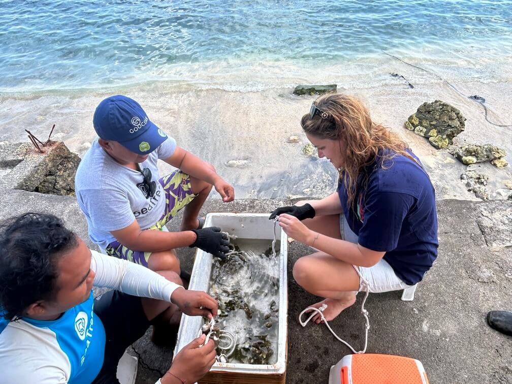 Rope_Technique_Coral_Transplantation_Indonesia_Go_Ocean