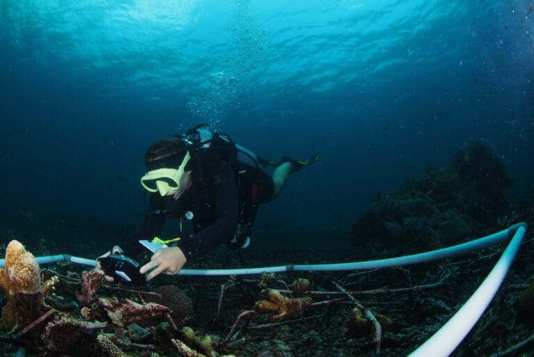 Invert_Survey2