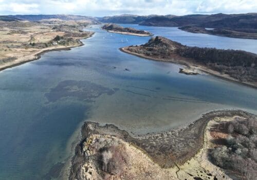 Go_Ocean_Seagrass_Wales_15